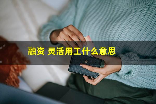 融资灵活用工什么意思